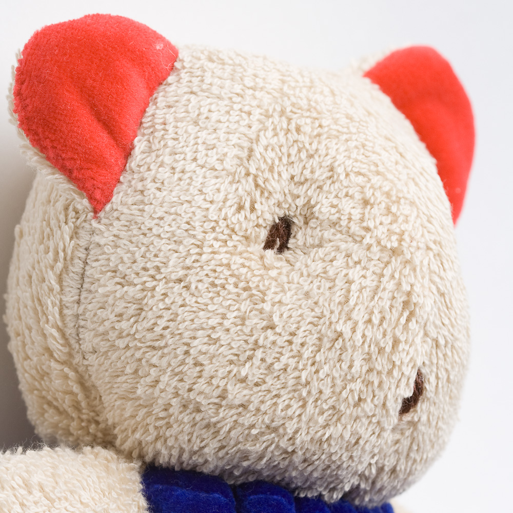 ジルケくま:顔の拡大